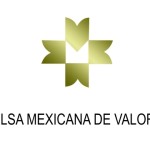 BMV_Logotipo-estrategia-estacionamientos-valet-parking-mexico